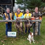 Maine upland hunts