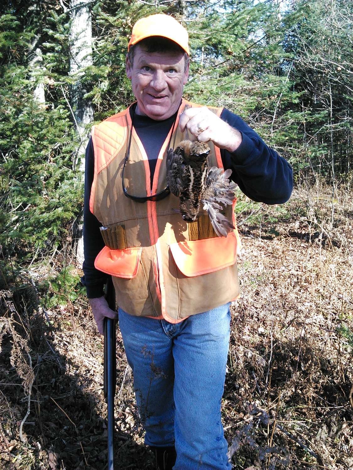 Maine upland hunt guide